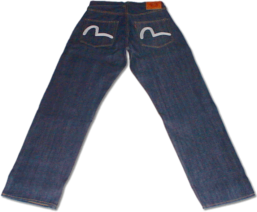 2001No.2ジーンズ刺繍カモメマークレギュラーフィットエヴィス(エビス